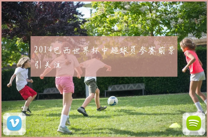 2014巴西世界杯中超球员参赛前景引关注