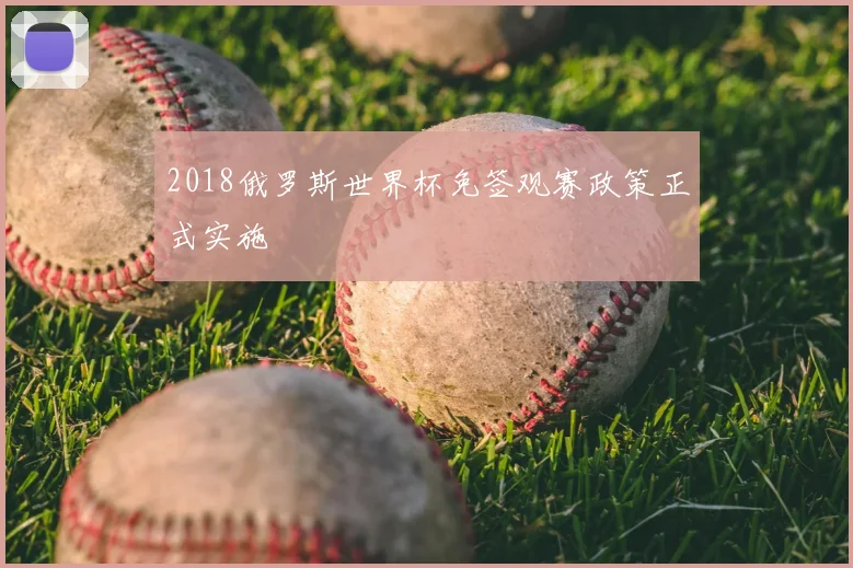 2018俄罗斯世界杯免签观赛政策正式实施