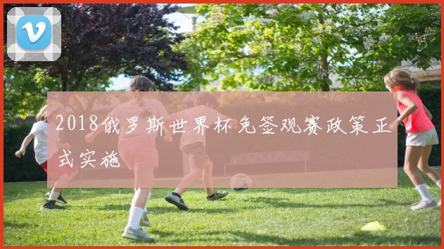 2018俄罗斯世界杯免签观赛政策正式实施