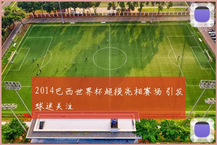 2014巴西世界杯超模亮相赛场 引发球迷关注