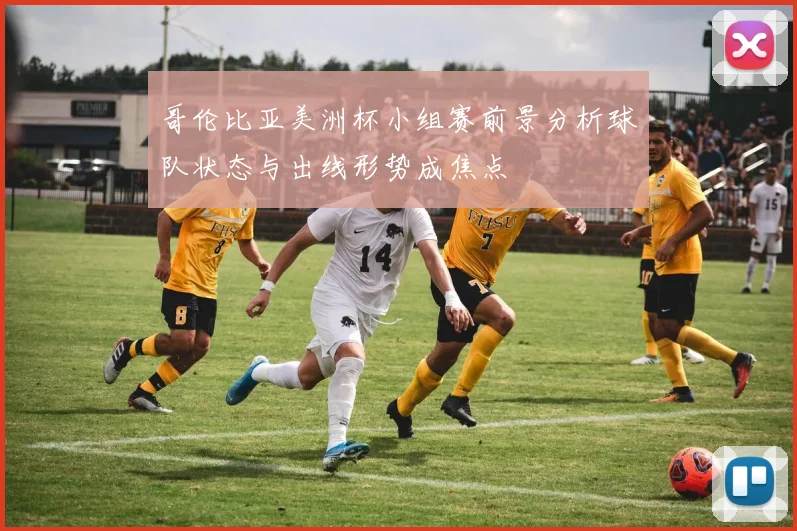 哥伦比亚美洲杯小组赛前景分析球队状态与出线形势成焦点