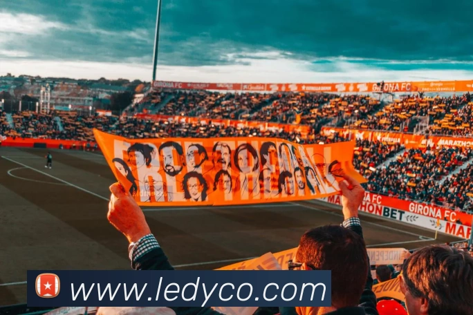 半岛在线体育APP 高清赛事图